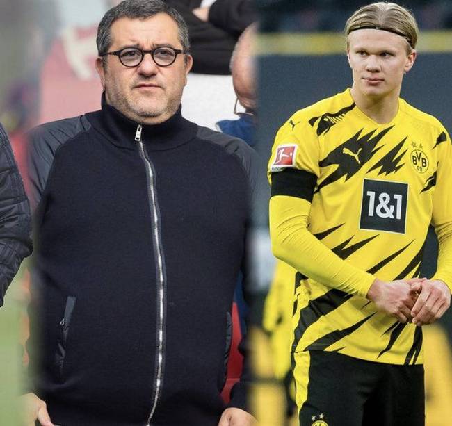 与高波动诈 与高波动诈